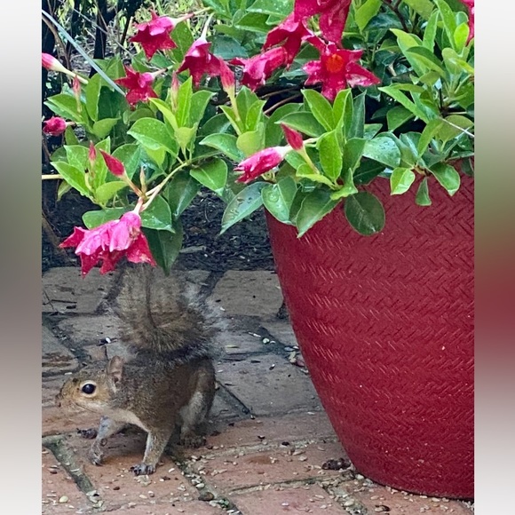 Meet your Posher, Brian - Picture 9 of 14